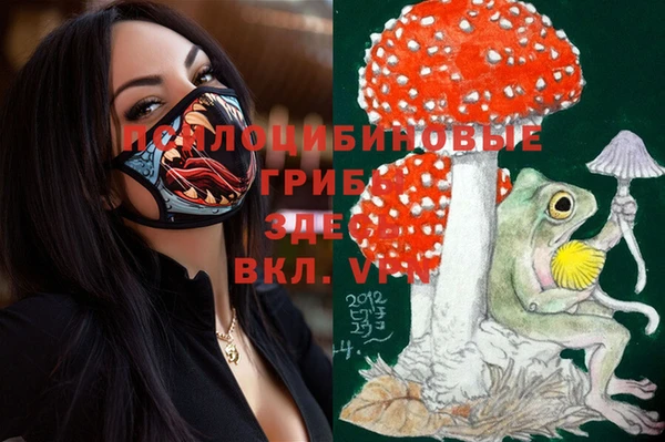экстази Алексеевка