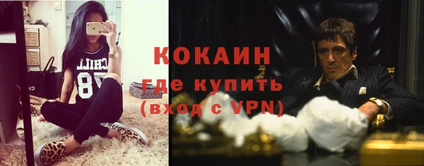 apvp Алексин