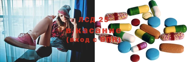 PSILOCYBIN Алзамай