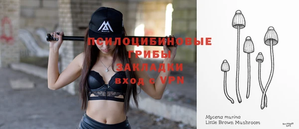 PSILOCYBIN Алзамай