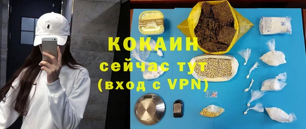 apvp Алексин
