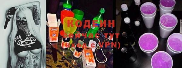 PSILOCYBIN Алзамай