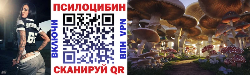 купить закладку  Ардатов  Галлюциногенные грибы MAGIC MUSHROOMS 